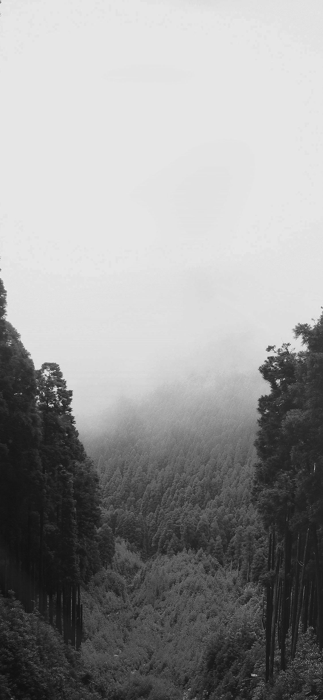 Mountain Mirror Green Wood Nature Dark