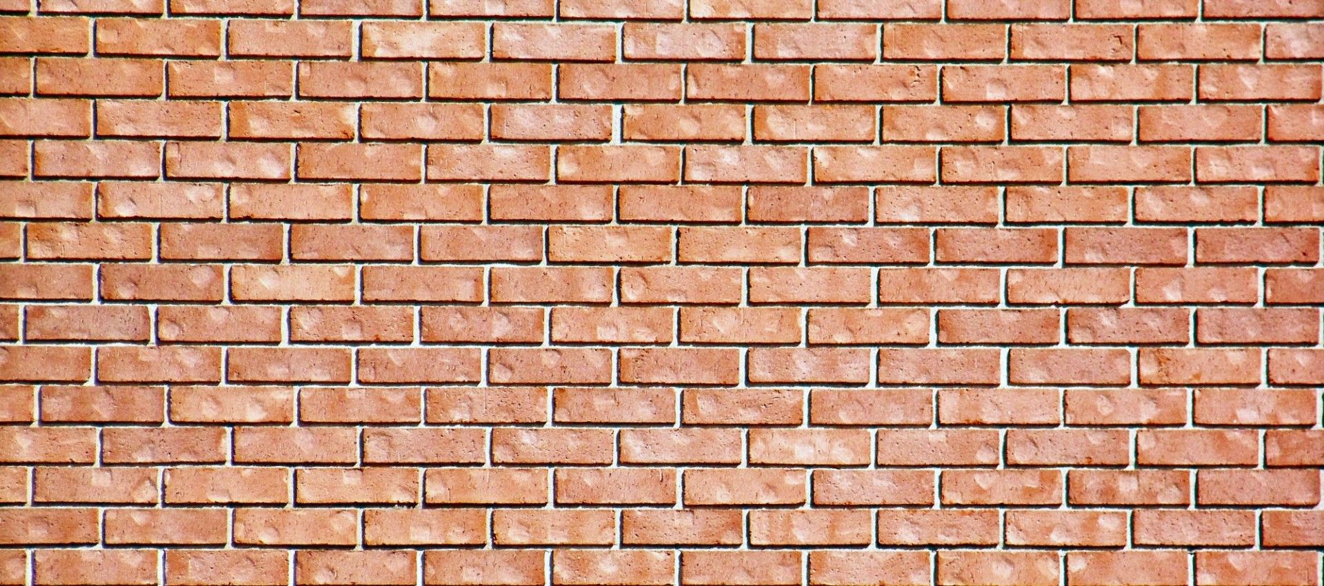 MTL. MontREALfood. Cropped Random Wallpaper Brick Wall