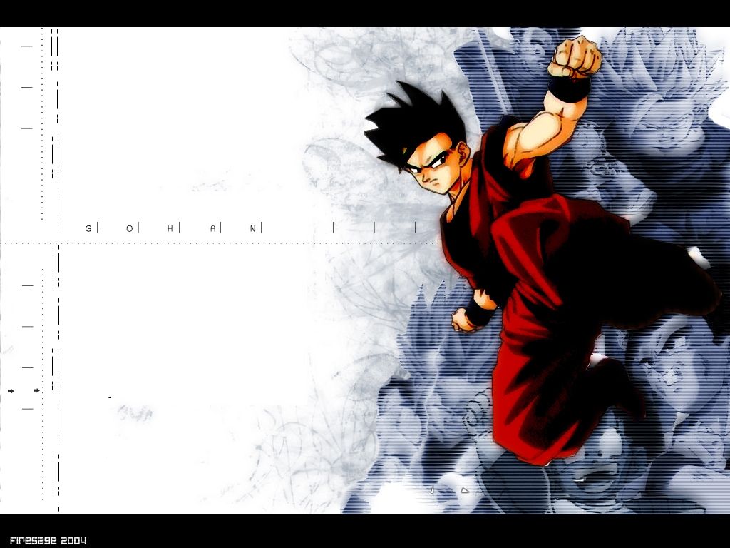 Free download Gohan Dragon Ball Z Wallpaper 25544348 1024x768