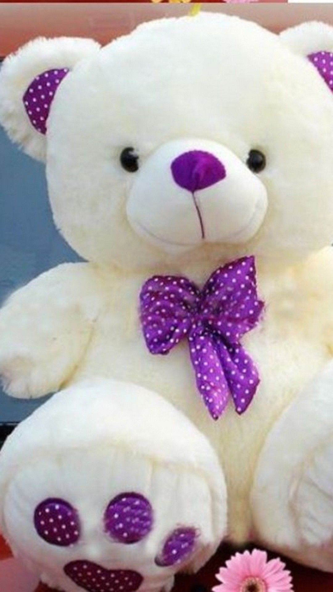 teddy bear colourful