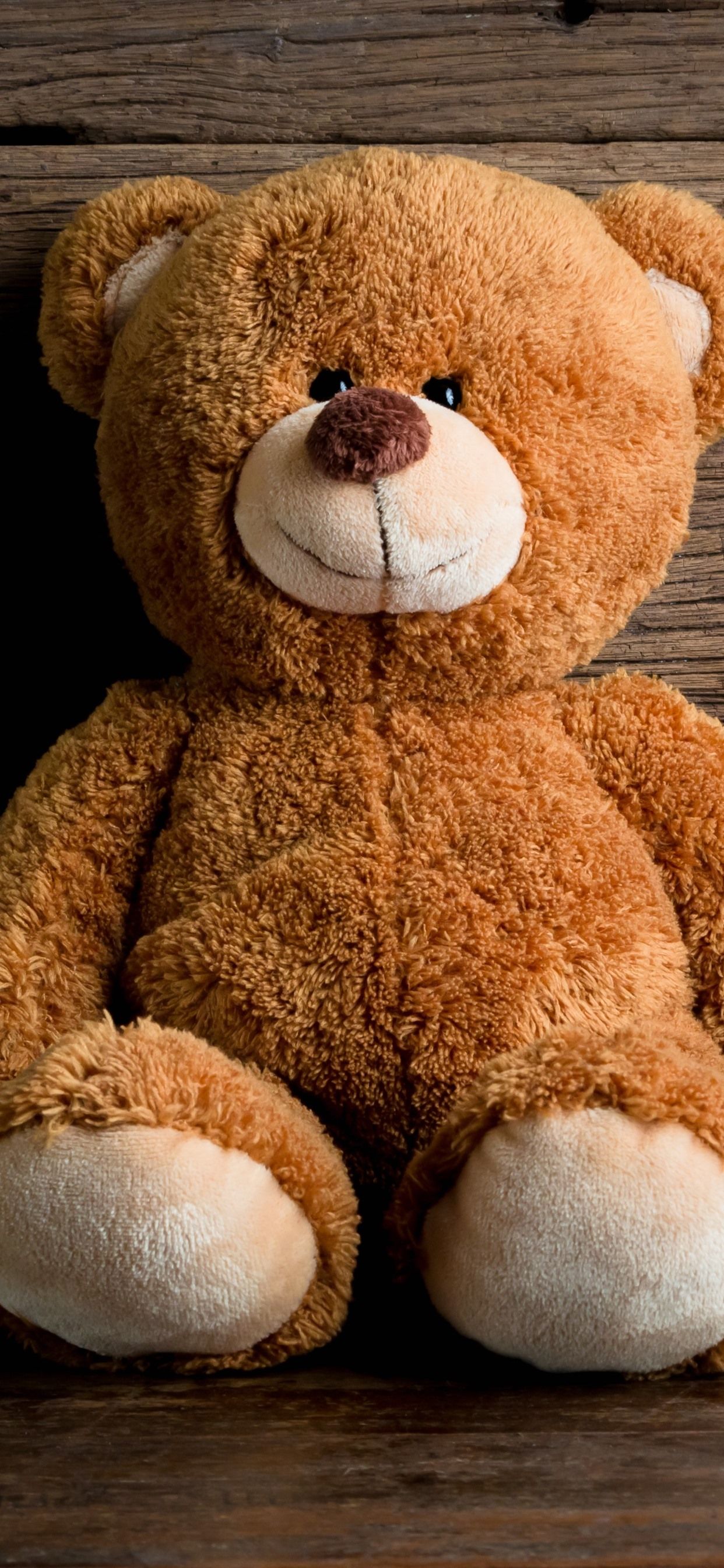 Cute Teddy Bear, Toy 1242x2688 IPhone 11 Pro XS Max Wallpaper