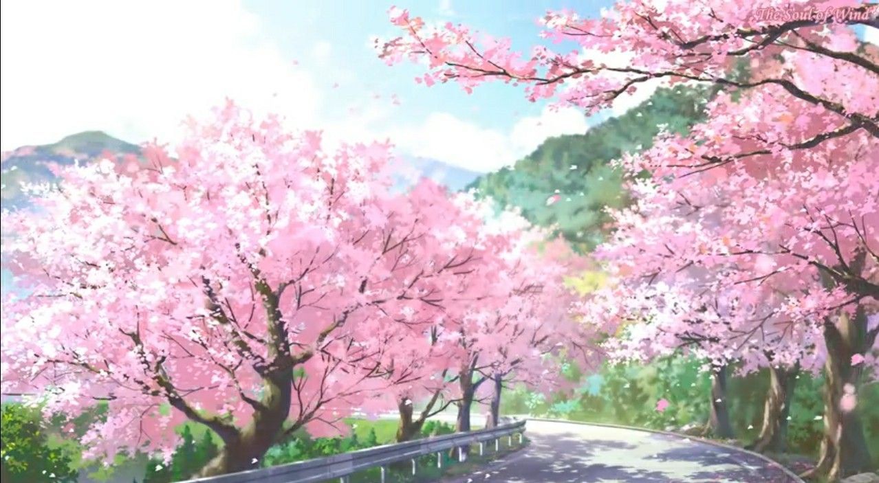 966130 4K cherry blossom town road anime landscape  Rare Gallery HD  Wallpapers