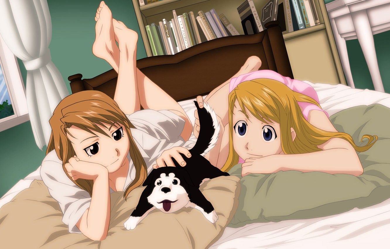 Wallpaper books, bed, dog, blonde, puppy, Fullmetal alchemist