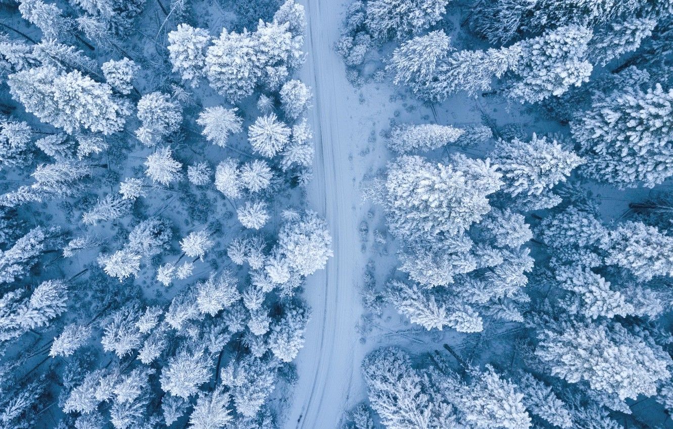 Wallpaper Nature, Winter, Landscape, Snow, Trees image
