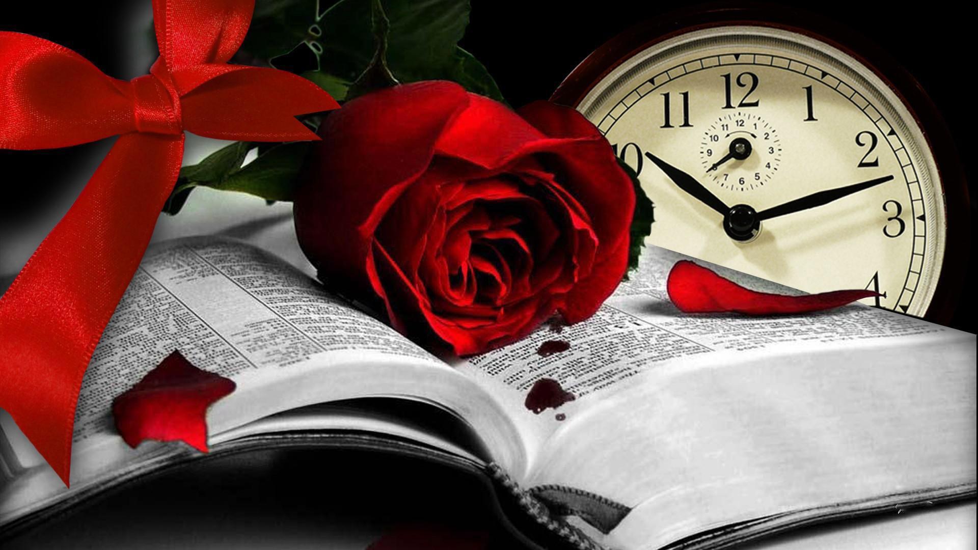 Rose and book. Live wallpaper for Android