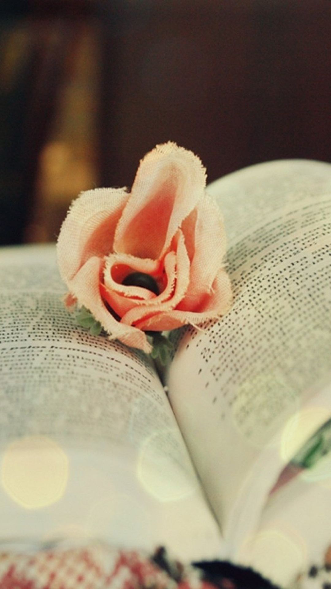 Cotton Rose On Book Android Wallpaper free download