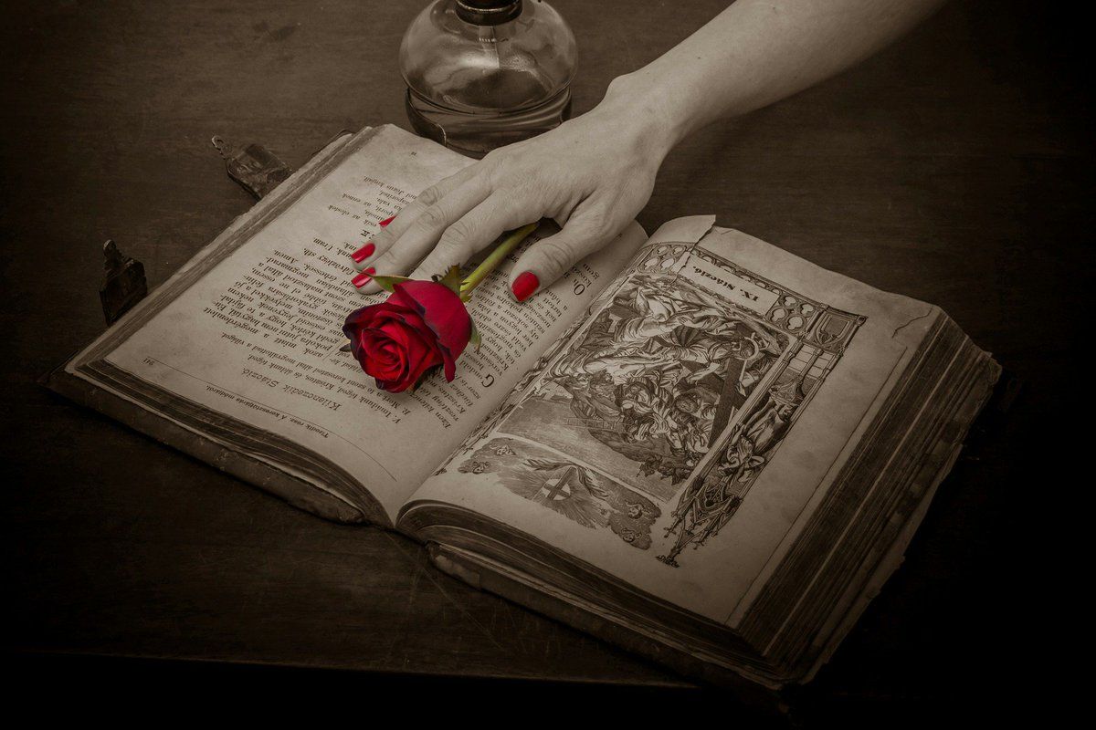 HD Wallpaper - #love #rose #red #book #open #hand