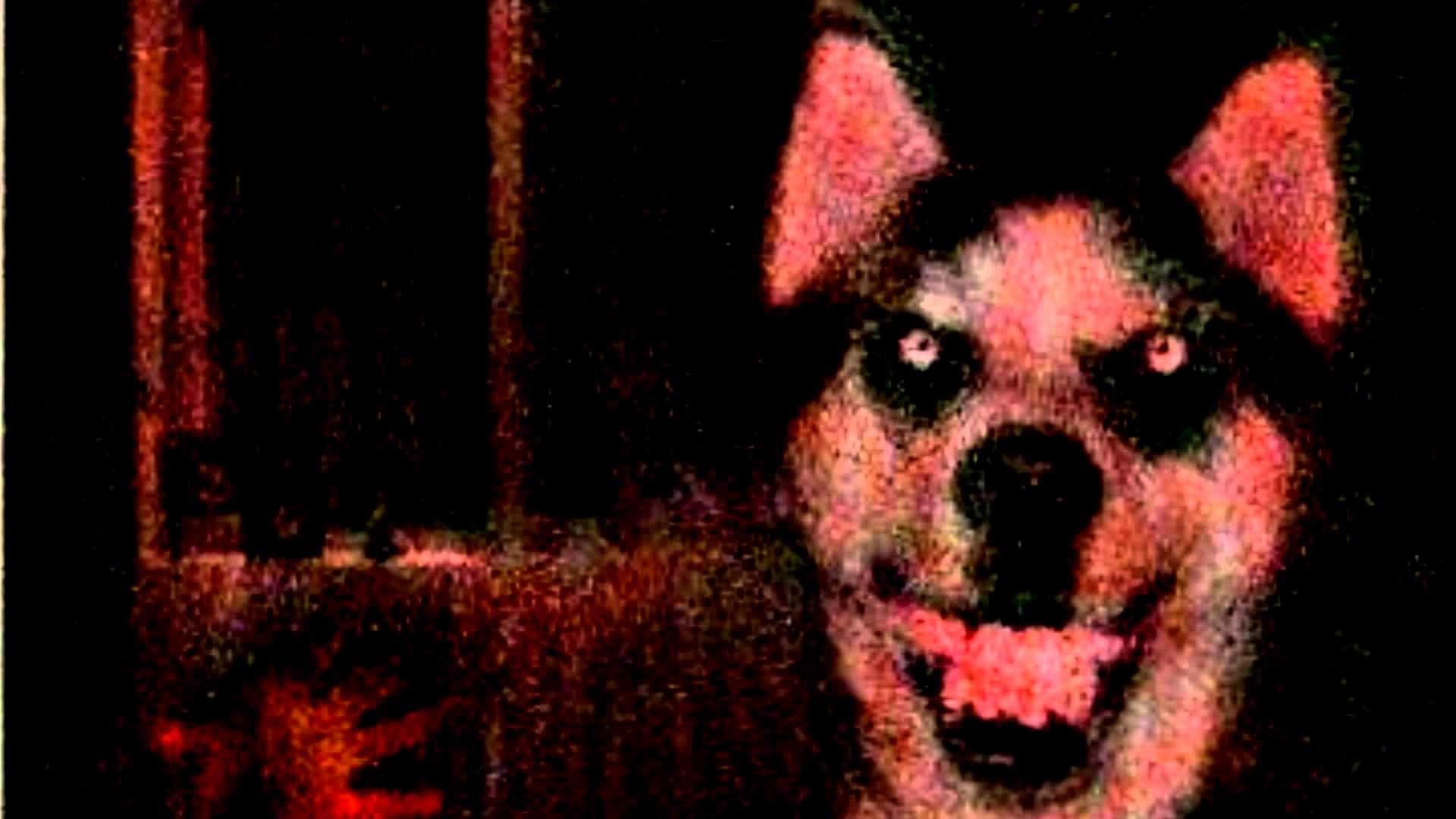 Smile Dog Creepypasta Wallpapers - Wallpaper Cave