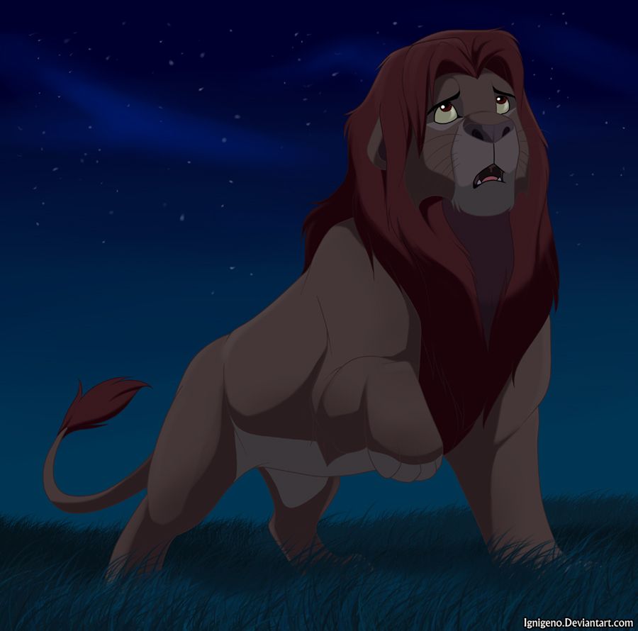 Simba in the night Lion King Photo