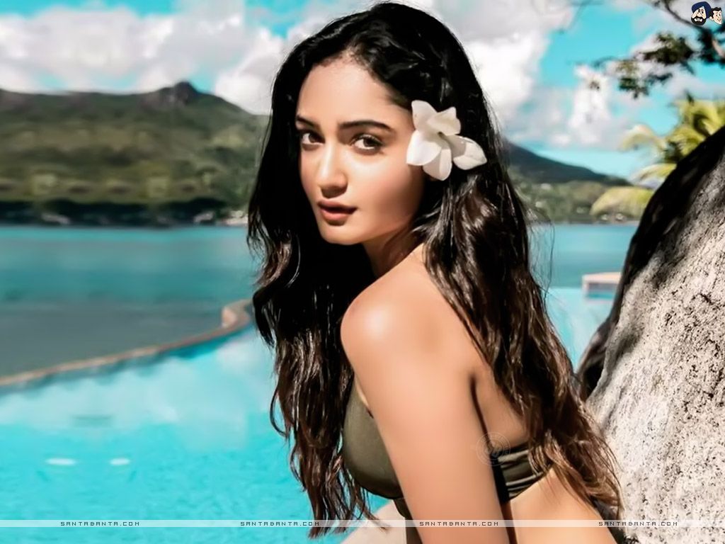 Hot Bollywood Heroines & Actresses HD Wallpaper I Indian Models
