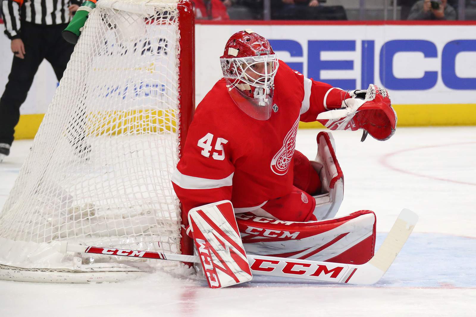 Jonathan Bernier looks good enough for Red Wings to trade, no?