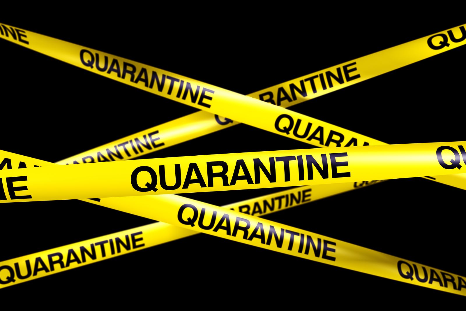 Quarantine wallpaper, Movie, HQ Quarantine pictureK