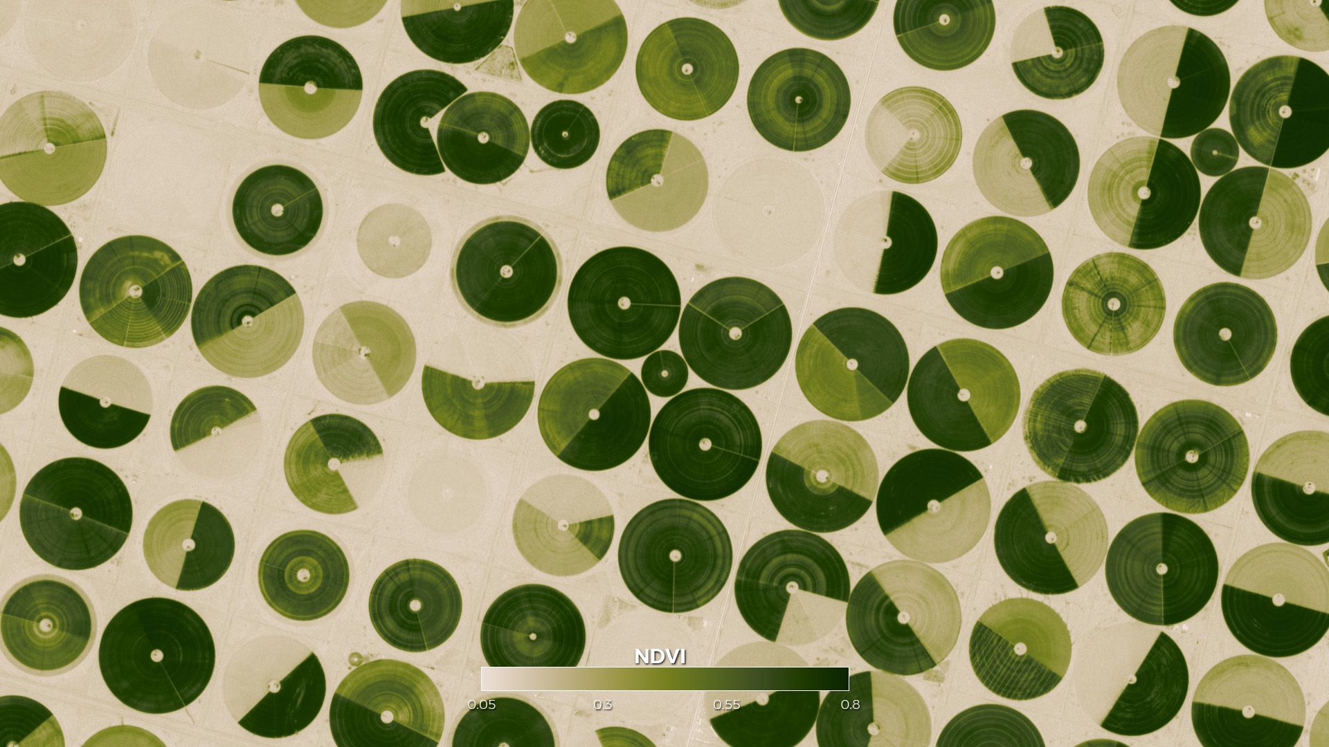 The Top Global Trends Driving the Fourth Agricultural Revolution