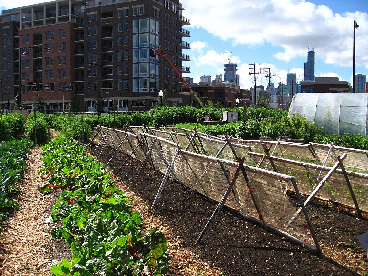Urban agriculture