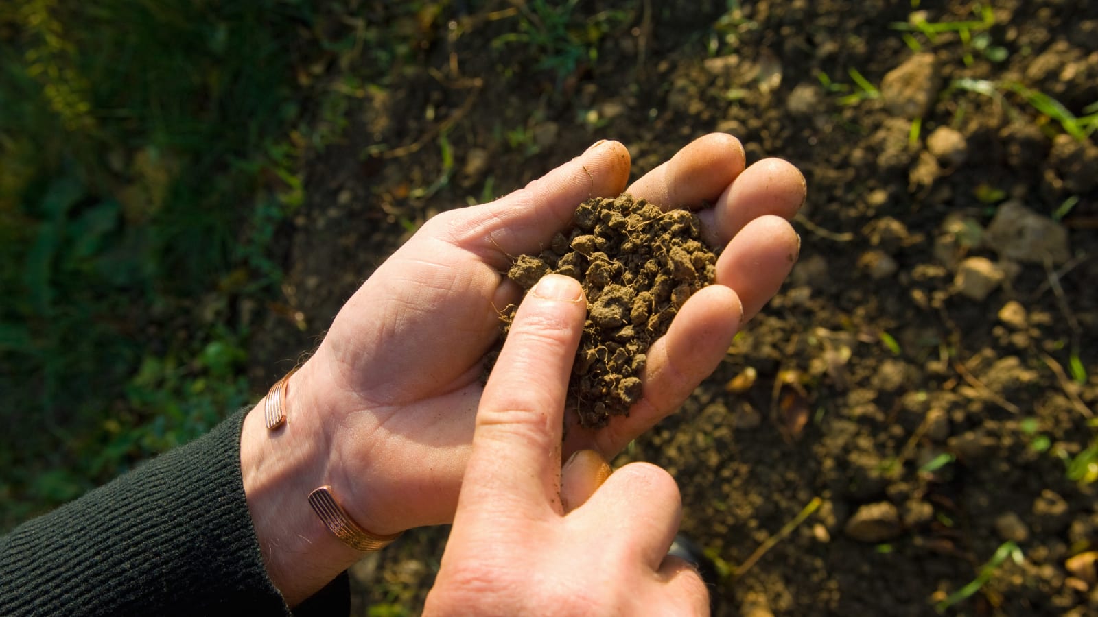 This is a $15 trillion opportunity for farmers to fight climate change