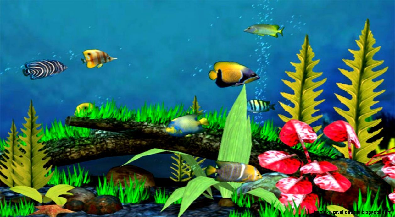 3D Fish Wallpaper Desktop