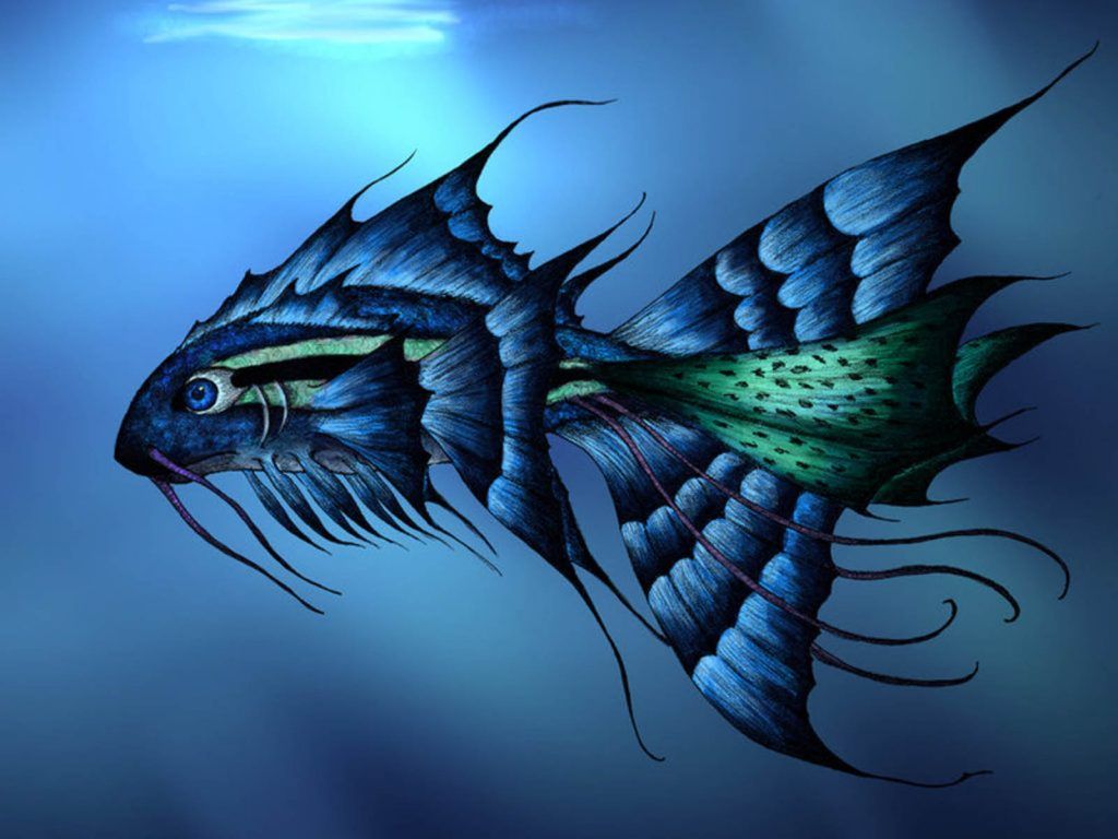 Fish Wallpaper Wallpaper