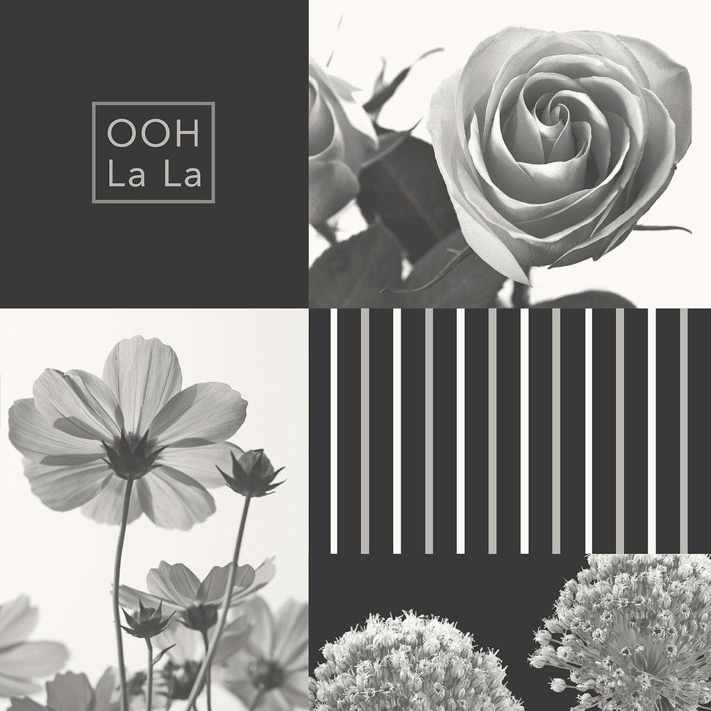 Coco Black and White Flower Collage Wallpaper