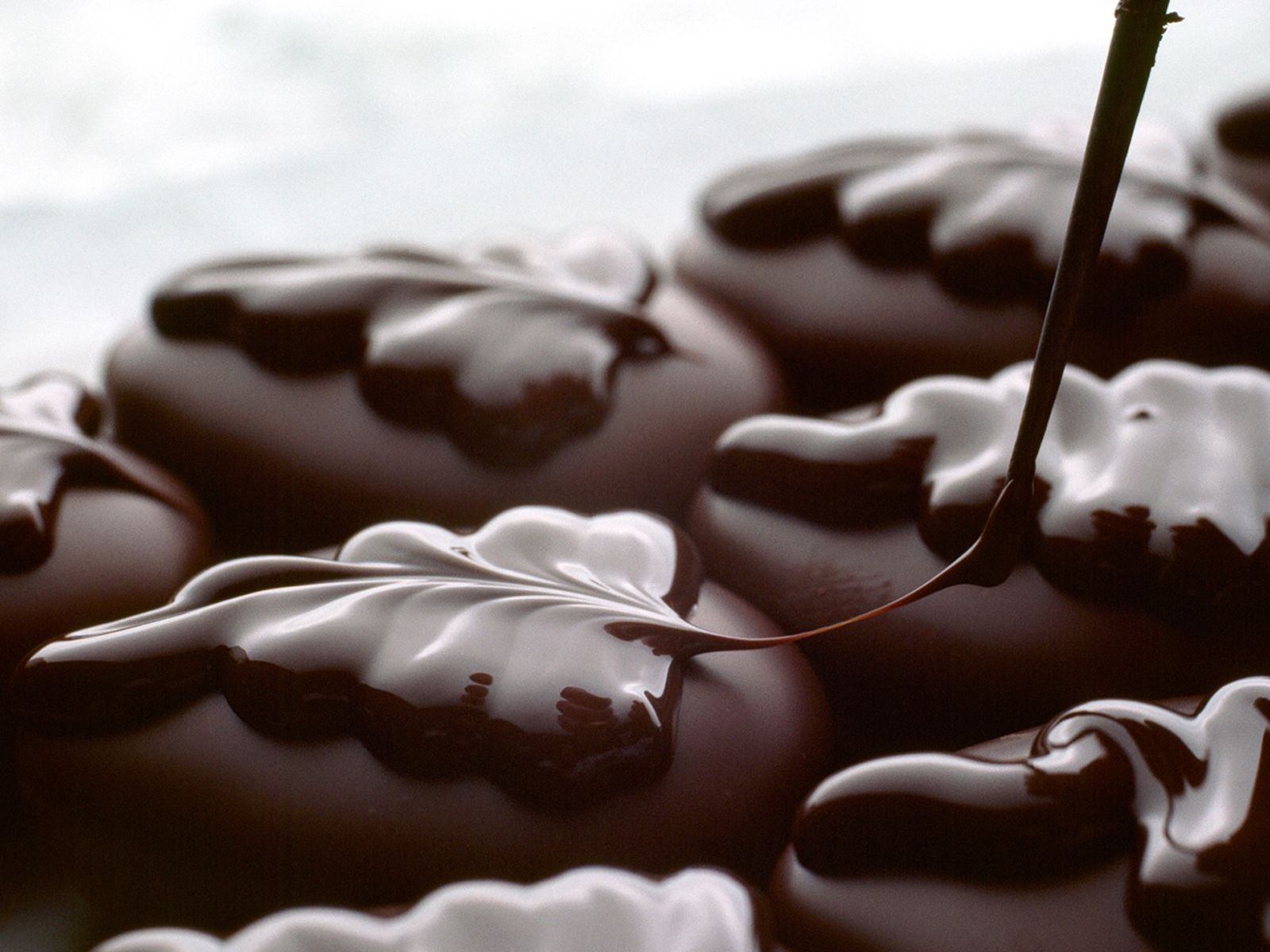 Delicious Chocolate Cake Desktop HD wallpaper. food. Wallpaper