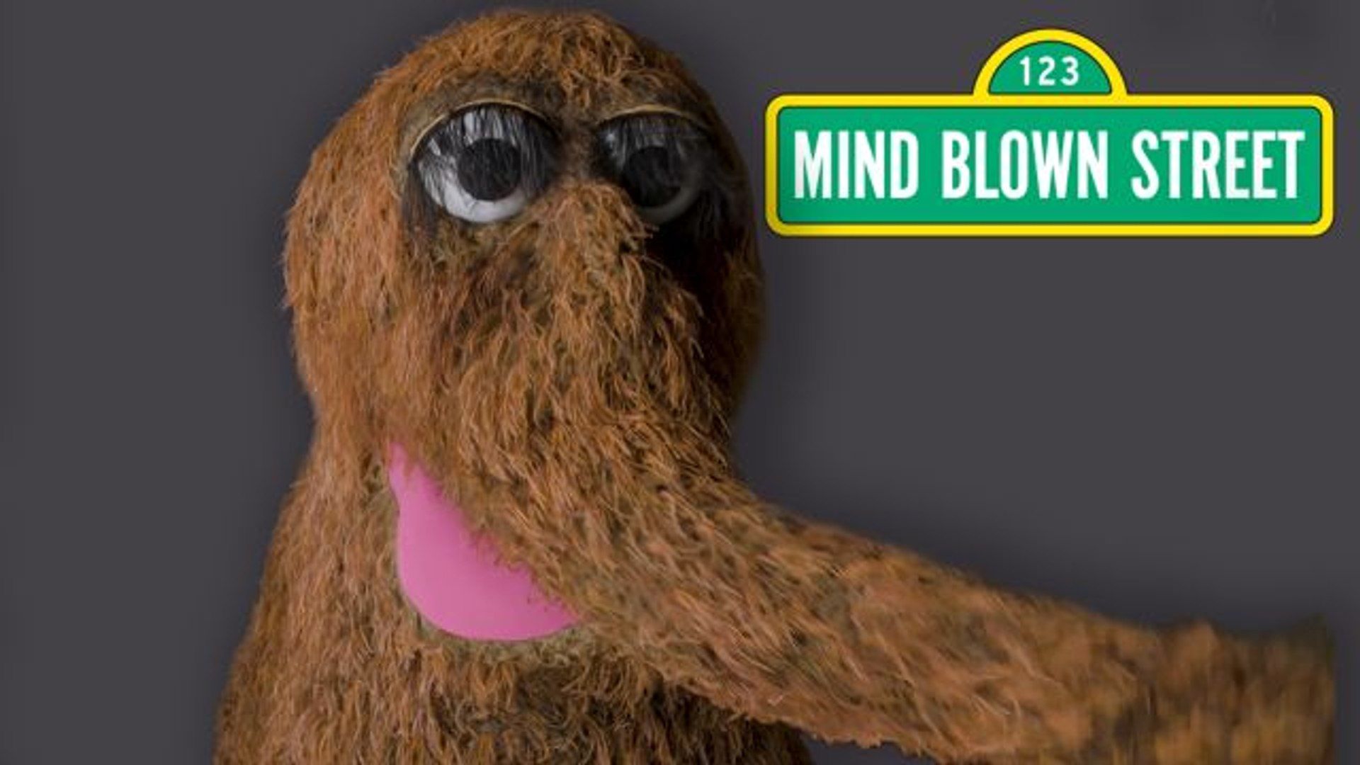 Mr. Snuffleupagus Reads Mind Blowing Facts About The Universe