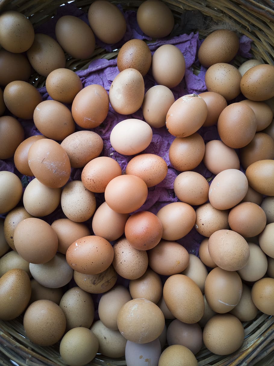 HD wallpaper: eggs, chicken, food, shell, nutrition, birth