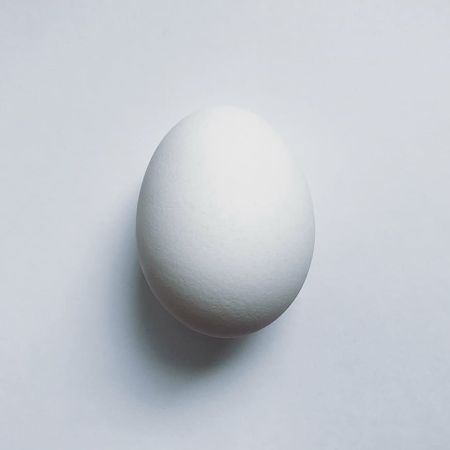 HD wallpaper: white egg on white platform, food, protein, studio