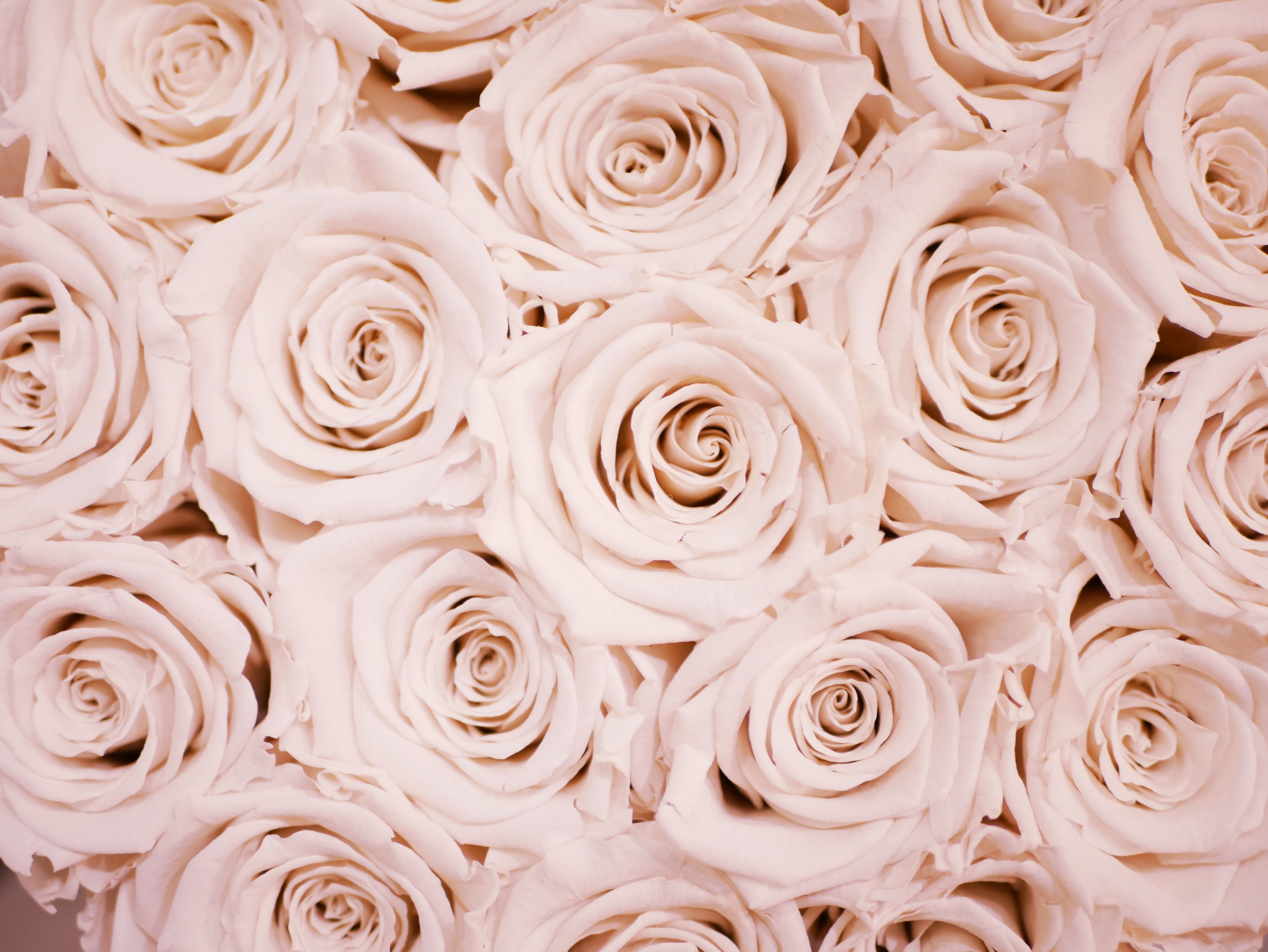 59 White And Rose Gold Aesthetic Pictures Iwannafile 