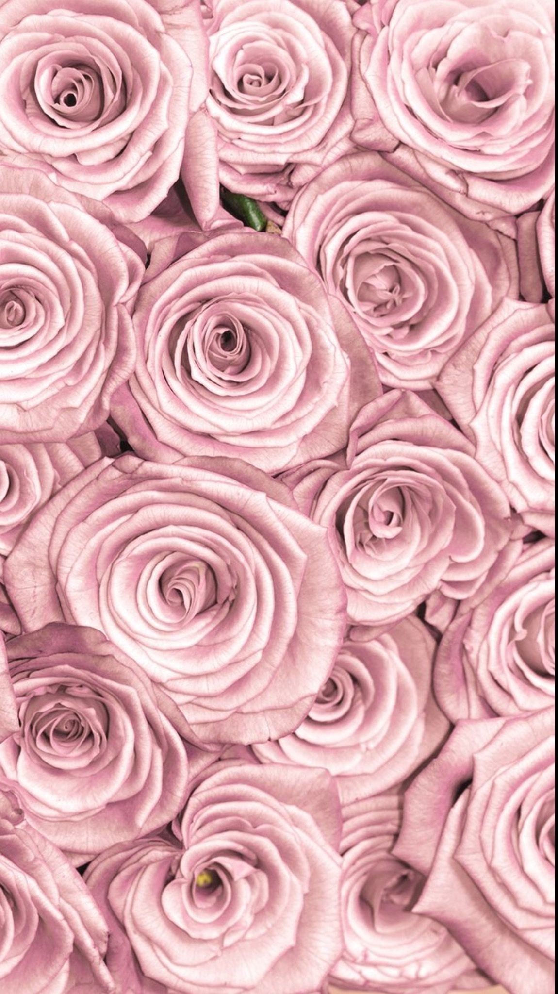 Rose Gold Cute Wallpapers