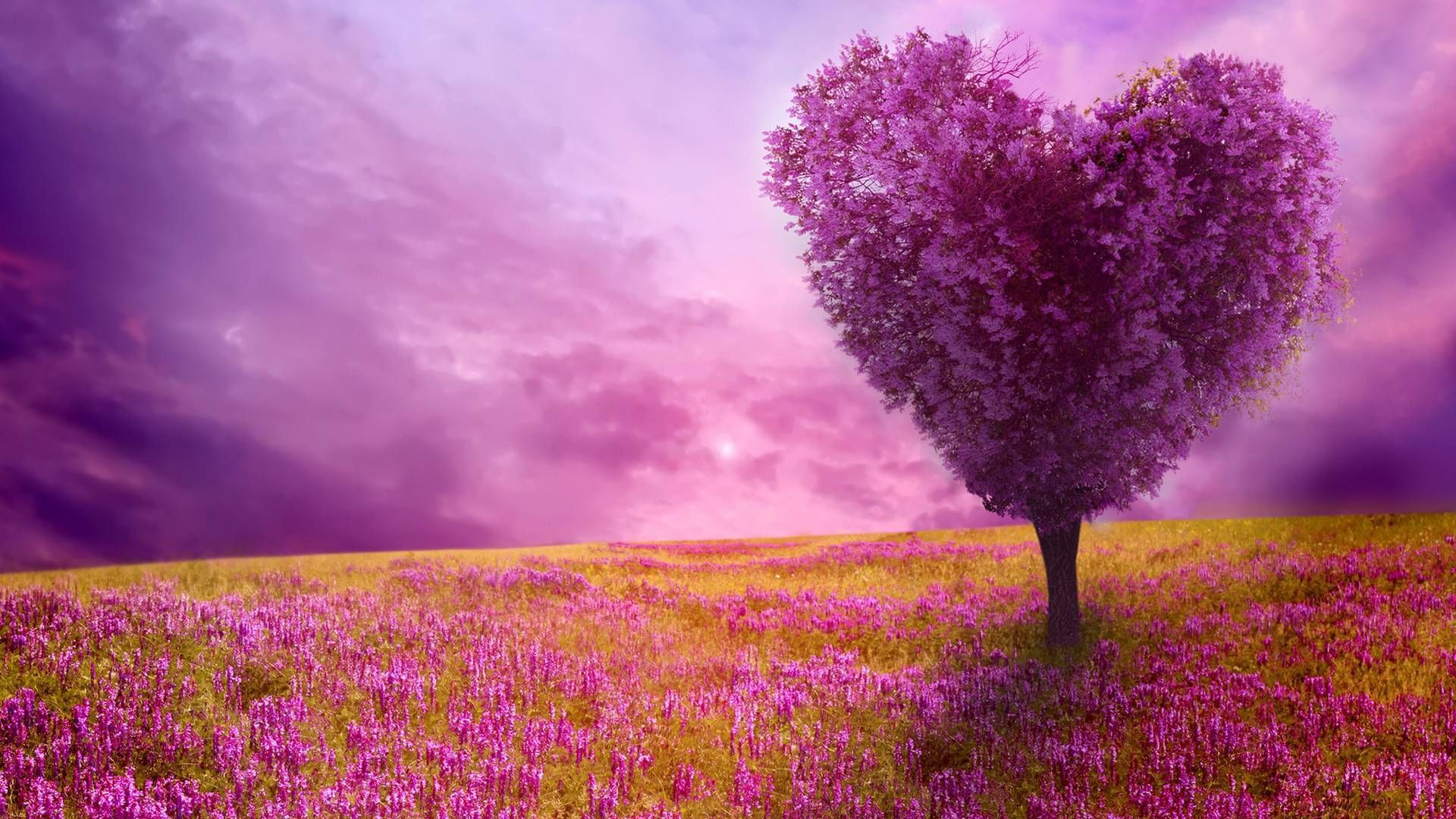 Purple Heart Spring Landscape Desktop Wallpaper is a high