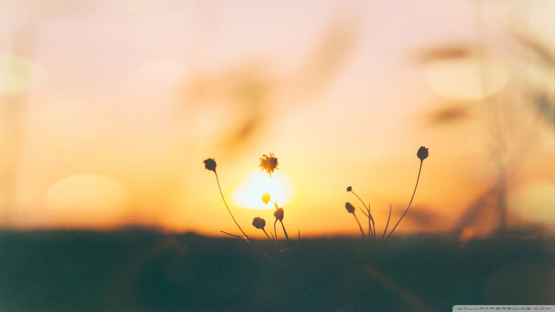 Idea by f0of0o on صور. Nature scenes, Vintage desktop wallpaper