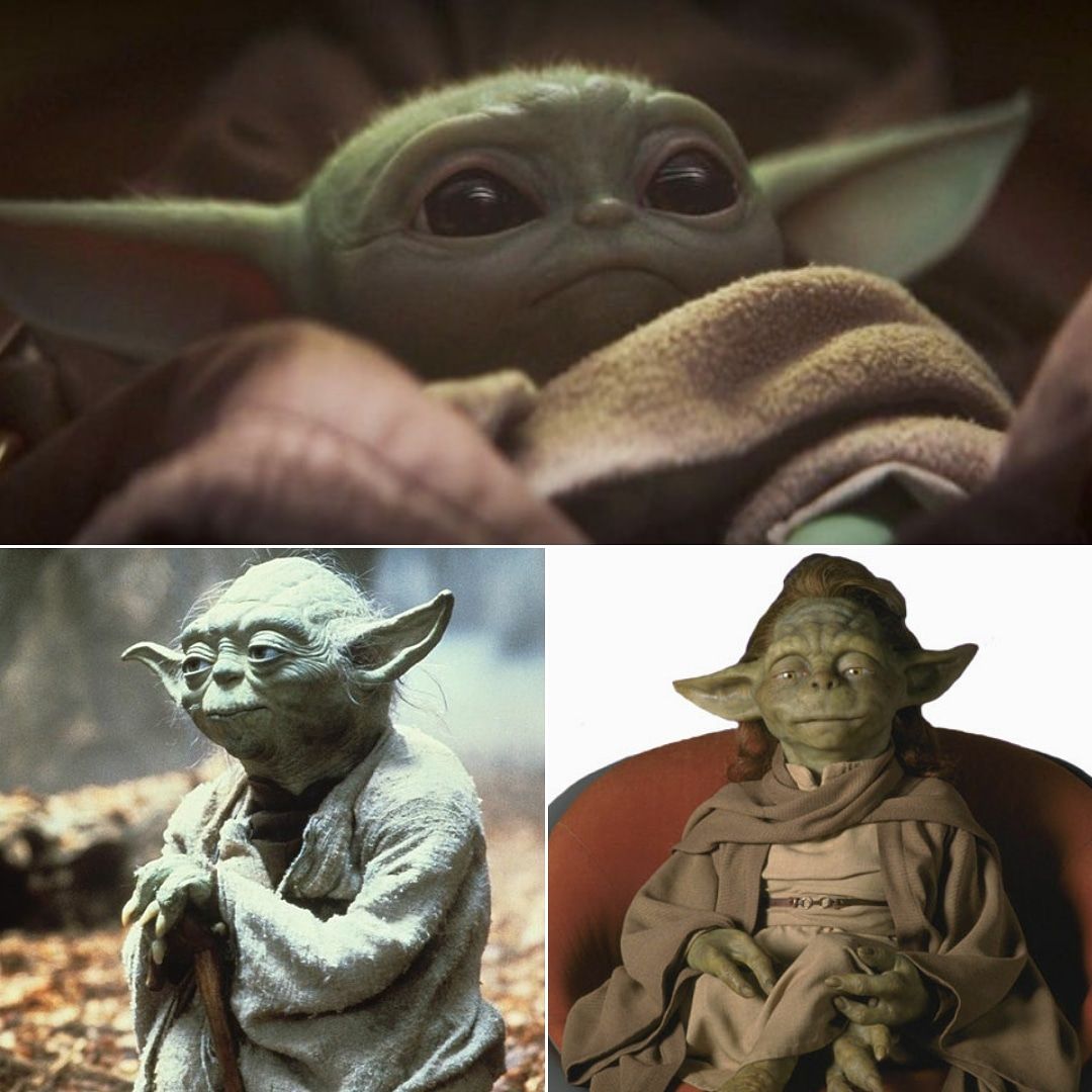 All of Our Burning Questions About Baby Yoda