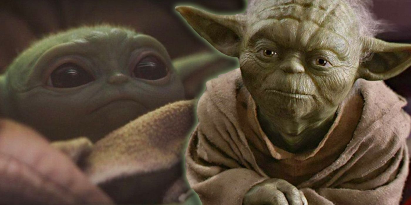The Mandalorian: Everything We Know About Yoda's Species