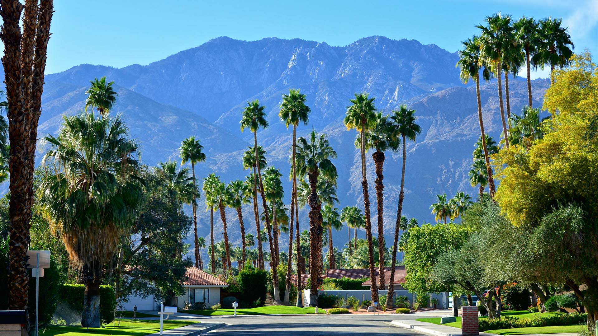 Palm Springs Wallpapers.