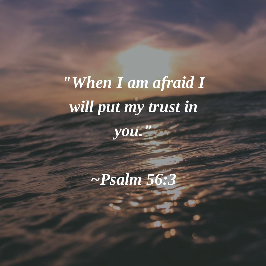 When I am afraid I will put my trust in you. Psalm 56:3