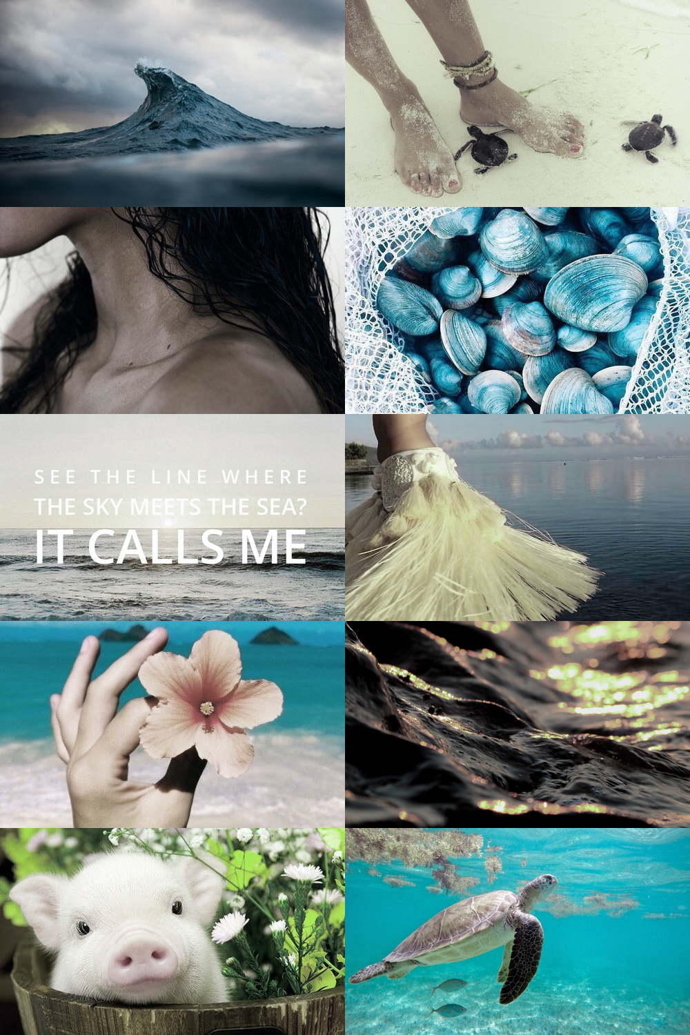 Moana aesthetic. Disney Princess aesthetics. Polynesian vibes