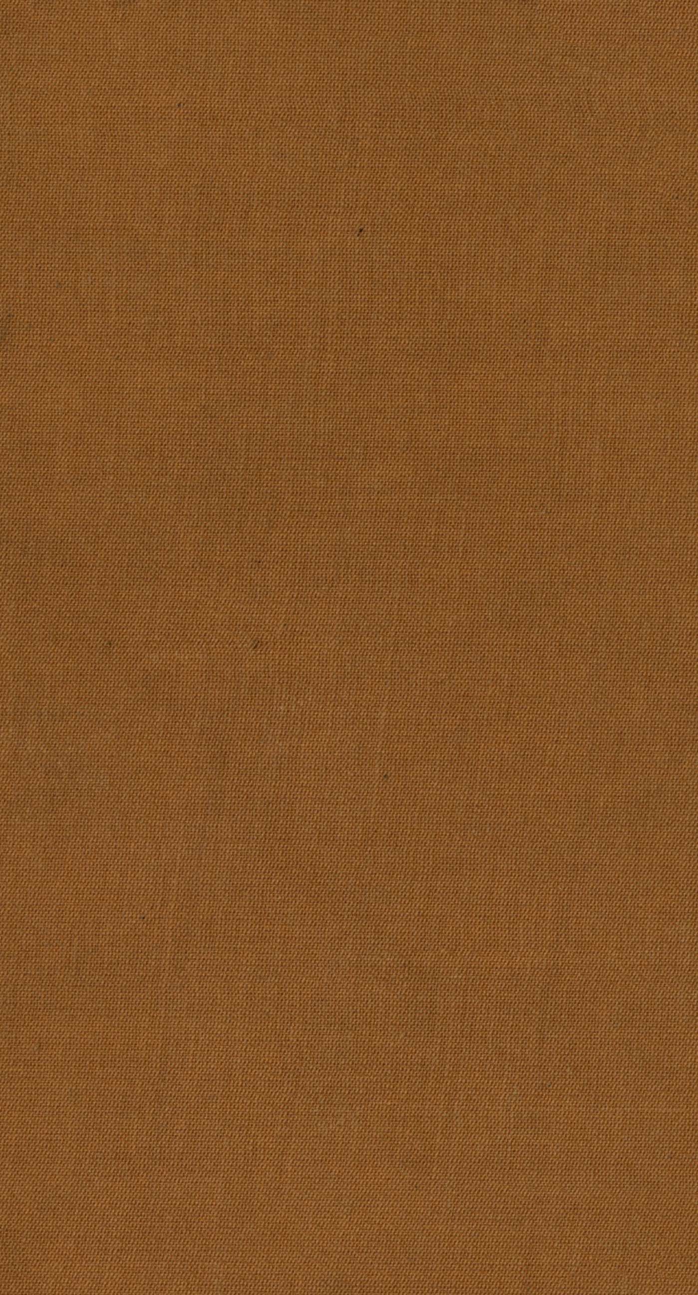 light brown wallpaper