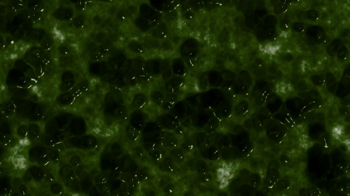 Slime Background. Magnetic Slime