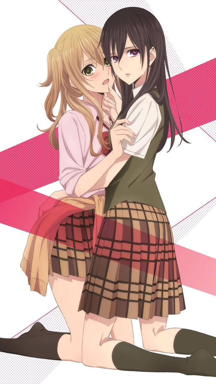 Citrus Anime Phone Wallpapers Wallpaper Cave