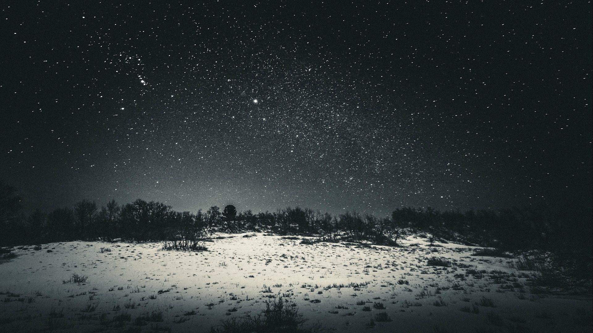 snow, Sky, Night, Dark, Black, Stars, Trees, Landscape Wallpaper