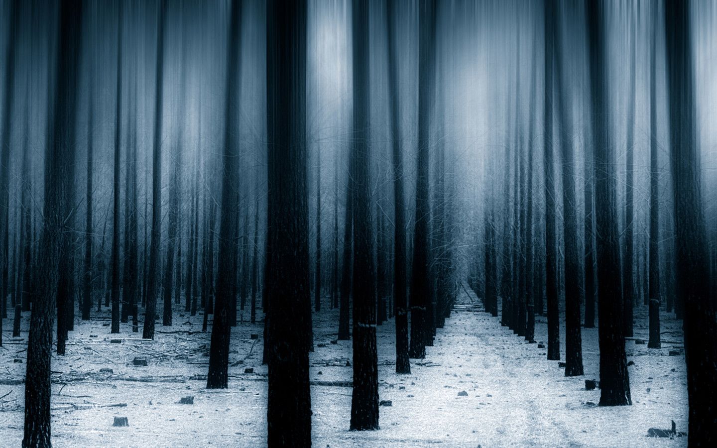 Dark Forest Woods Snow Winter 8k 1440x900 Resolution HD