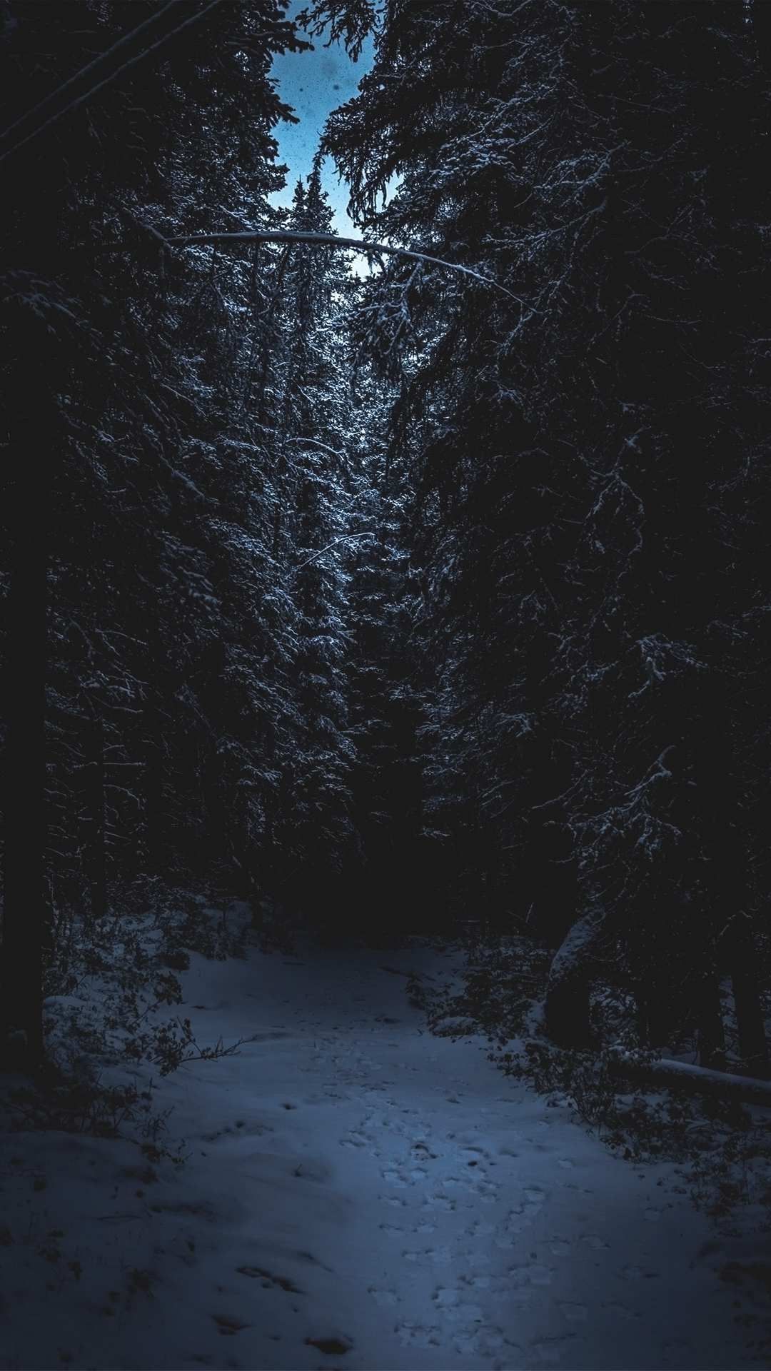 dark winter night wallpaper