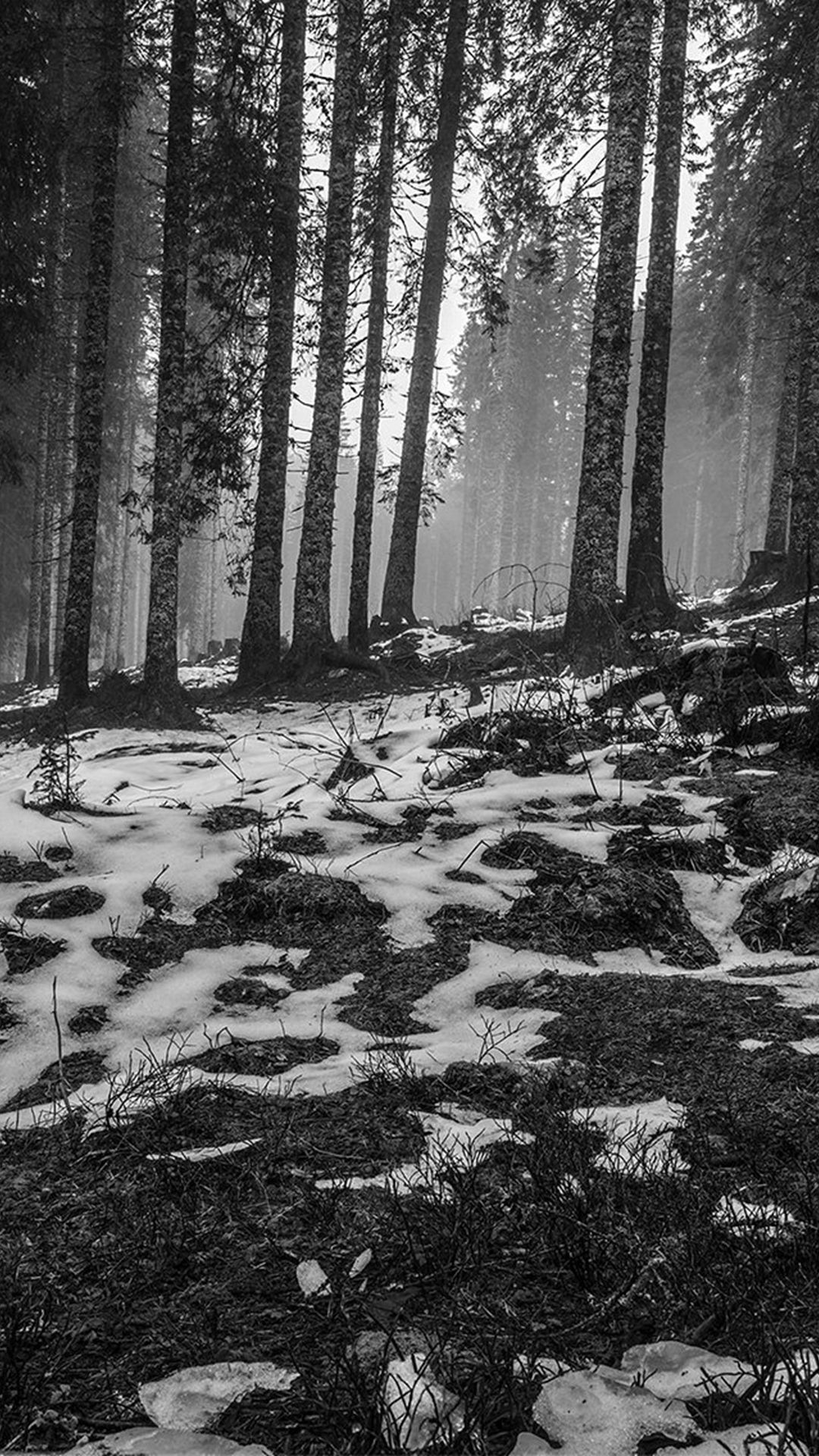 Mountain Snow Woods Nature Dark Bw iPhone 8 Wallpaper Free Download
