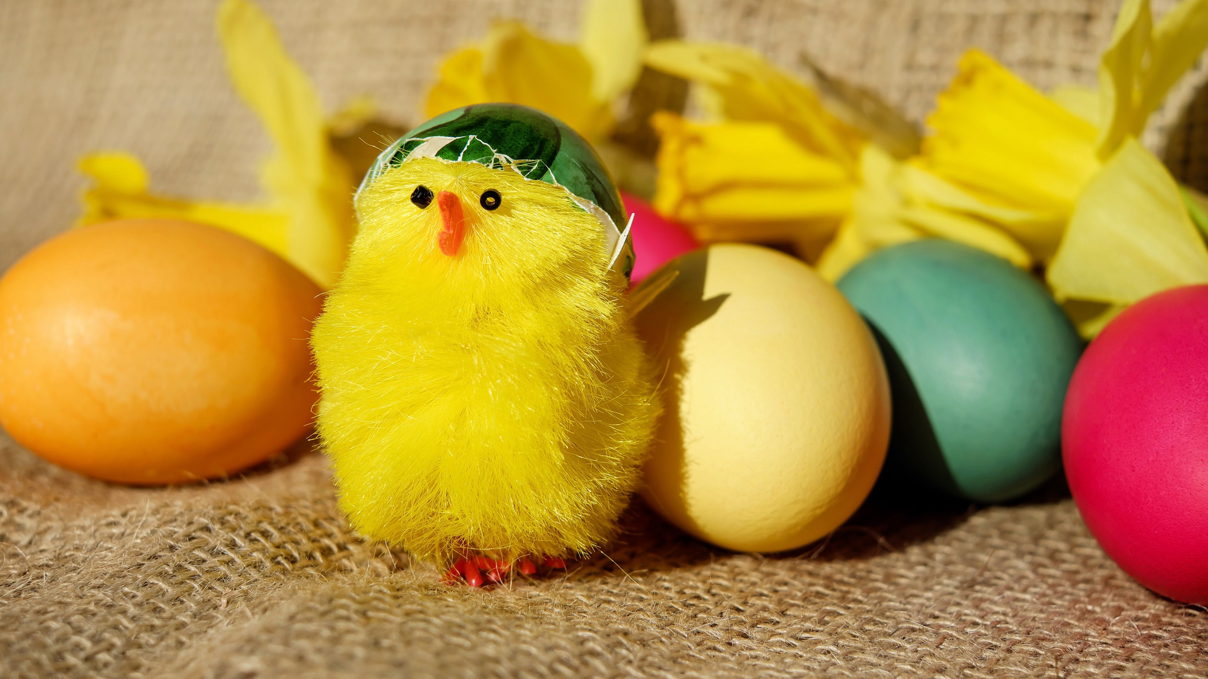 Download wallpaper 3840x2160 chick, eggs, easter 4k uhd 16:9 HD