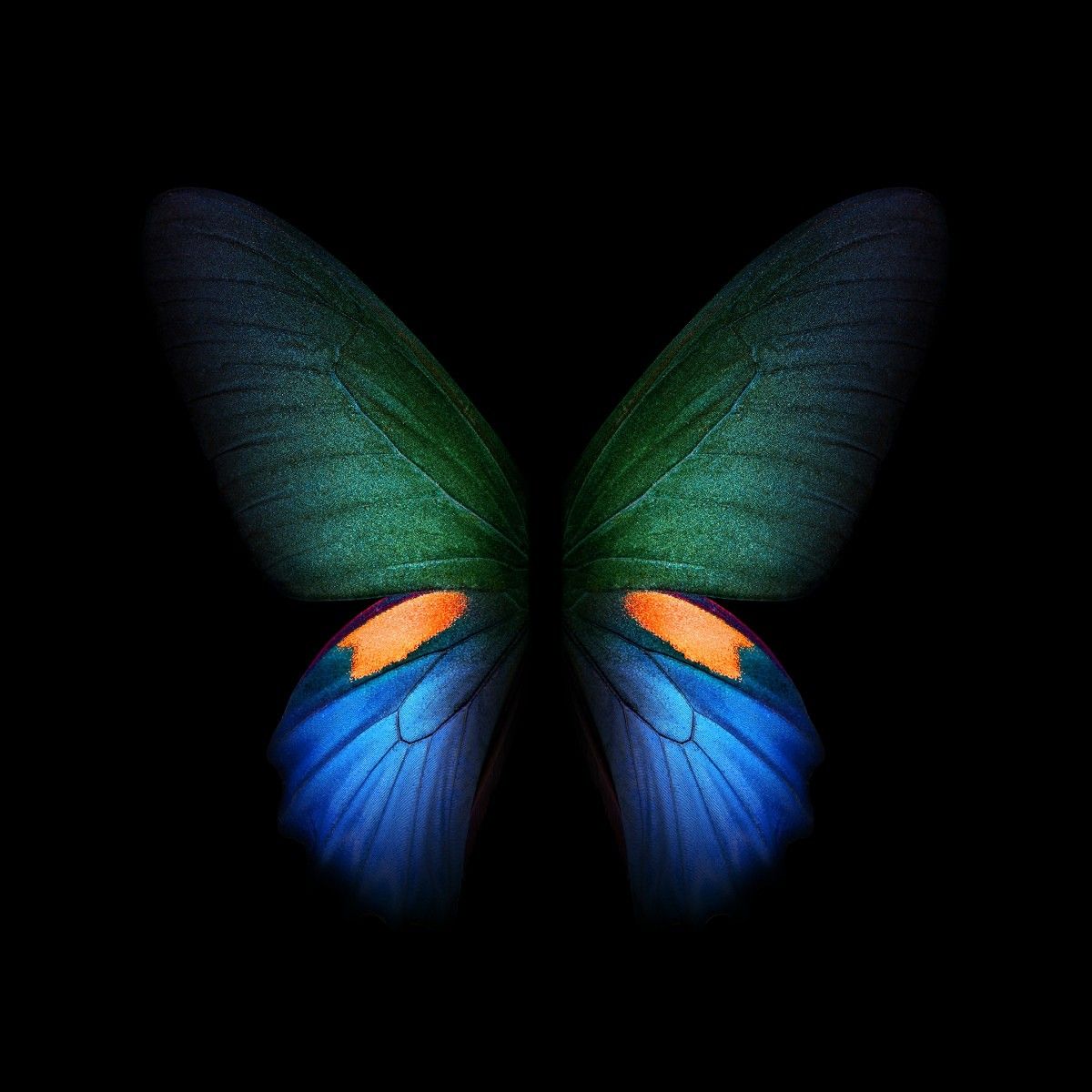 Here are all of the official wallpaper from the Samsung Galaxy Fold