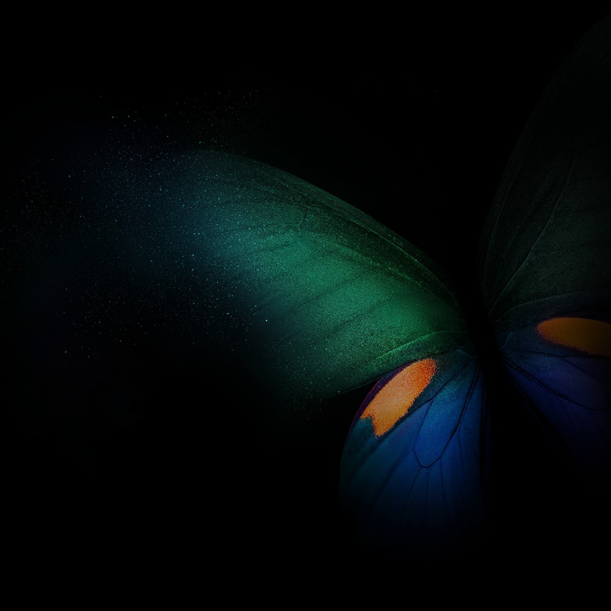 Customize your smartphone with the Samsung Galaxy Fold's wallpaper