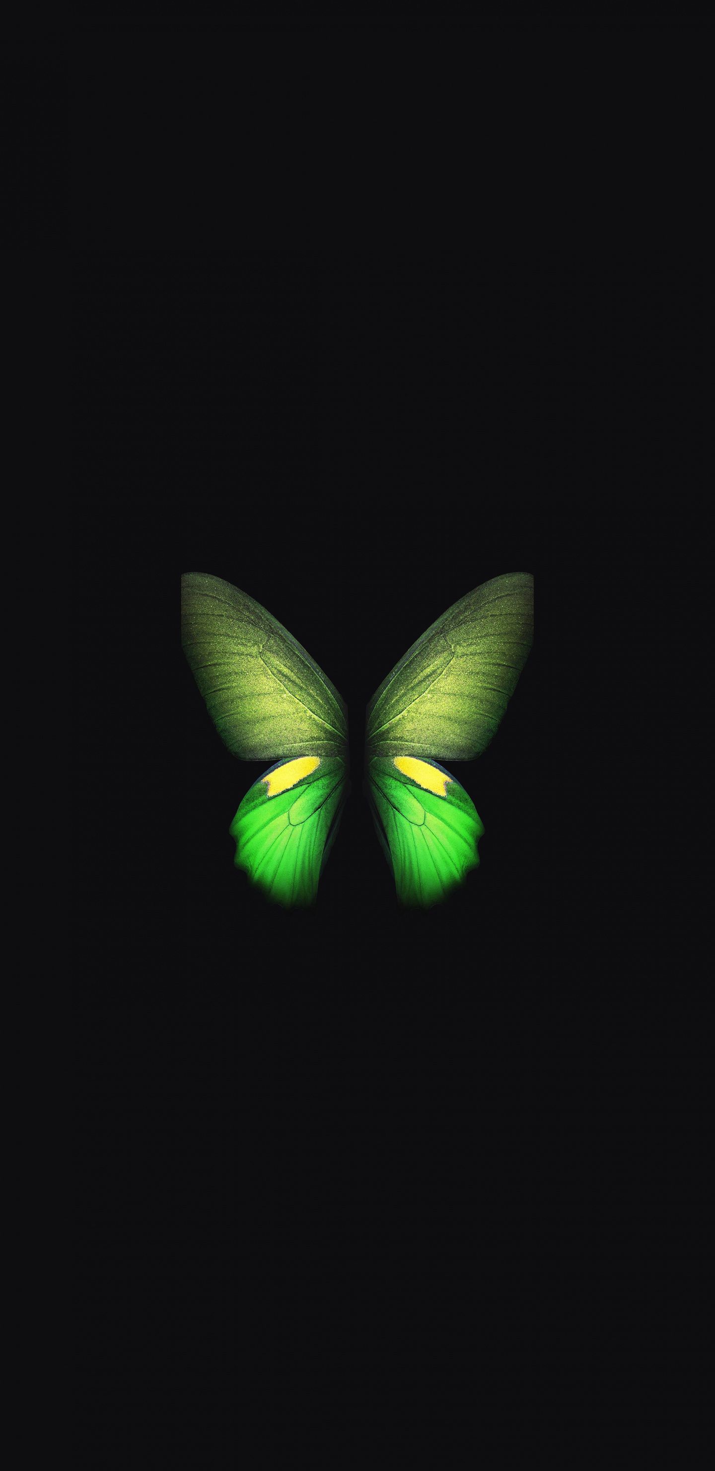 Download Samsung Galaxy Fold, Butterfly, green wallpaper