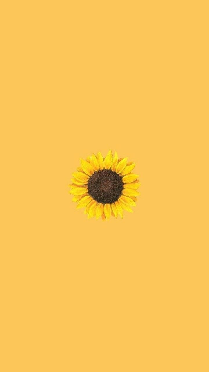 Yellow Sunflower. Sunflower wallpaper, Aesthetic iphone wallpaper