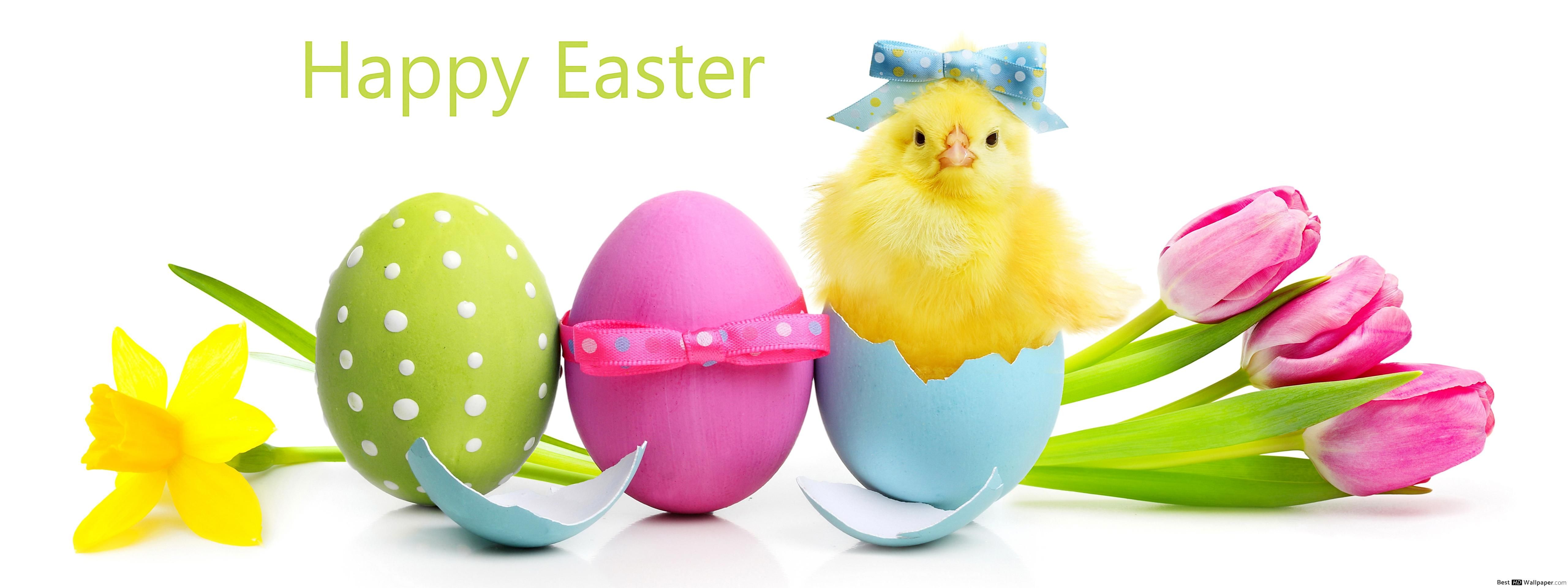 Happy easter note bow tie chick HD wallpaper download