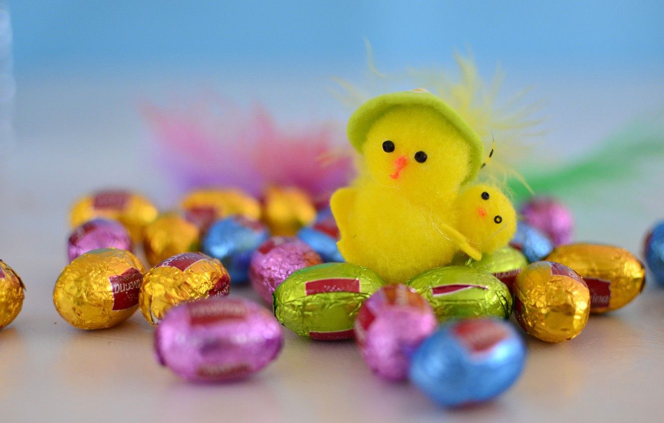 Wallpaper colorful, easter, chick, easter chick, chocolate eggs