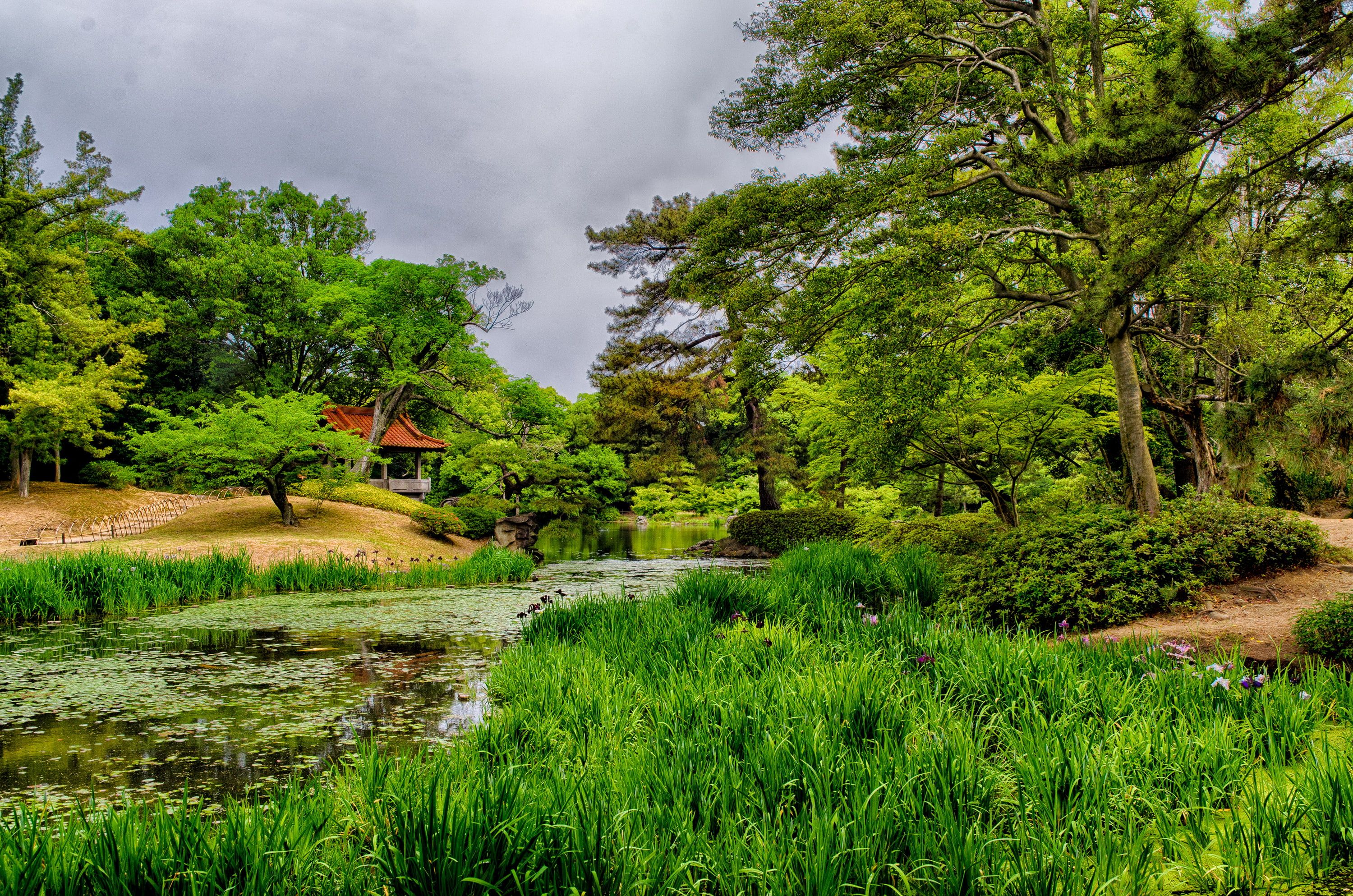 Gazebo Pond Wallpapers - Wallpaper Cave